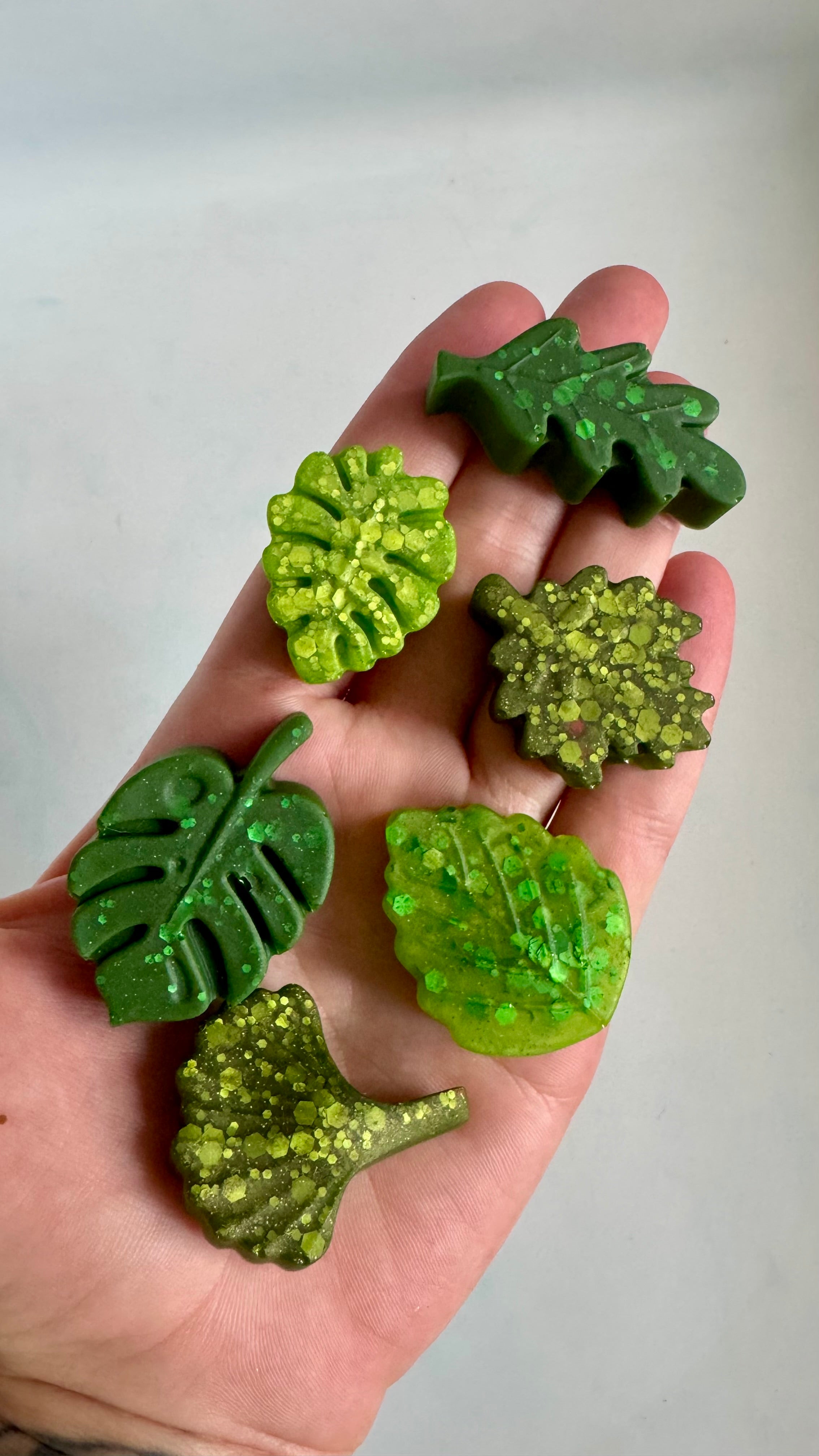 Leaves
