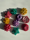 Cacti Flora Loose Parts