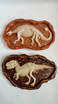 Fossils & Tools
