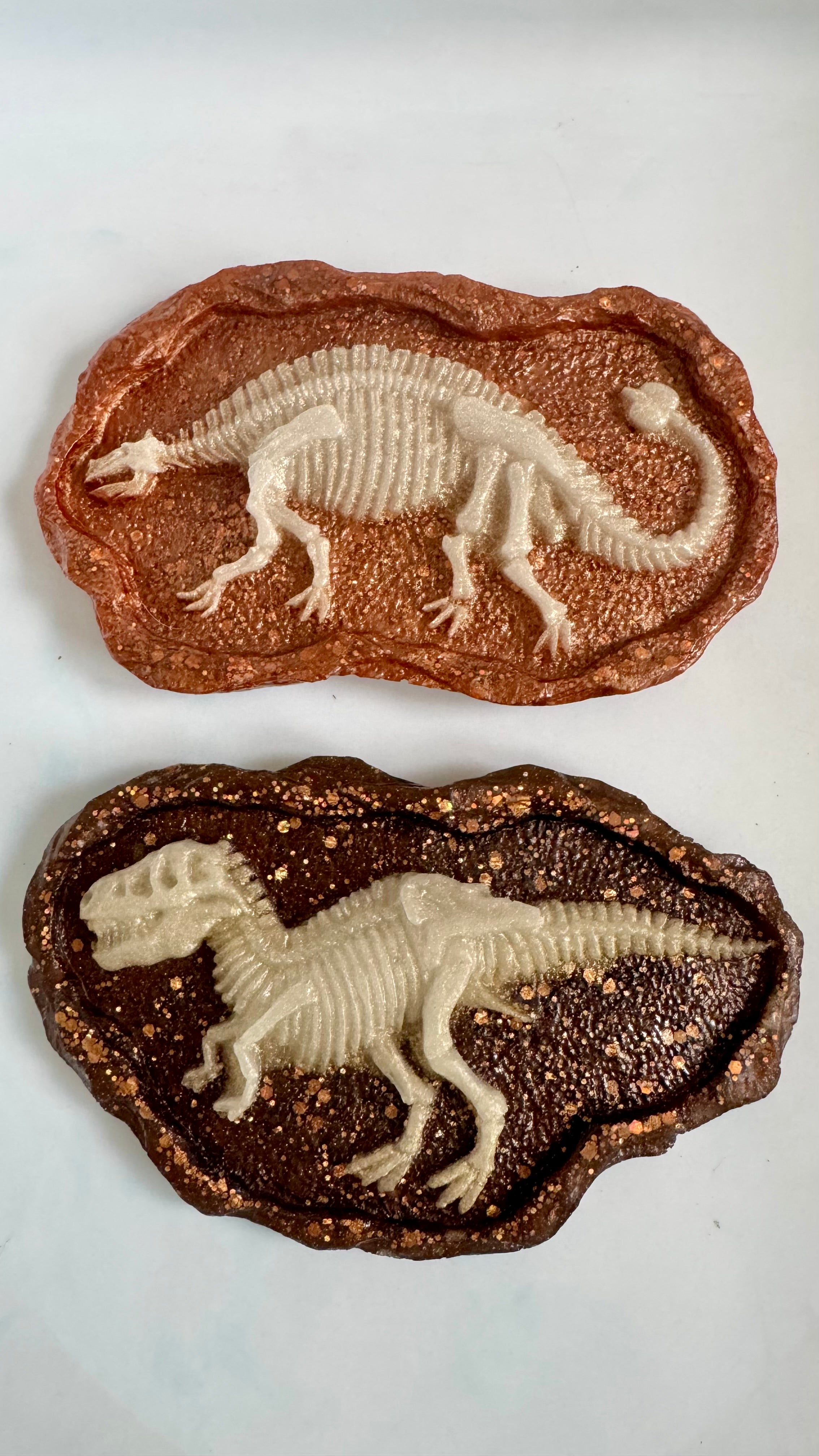 Fossils & Tools